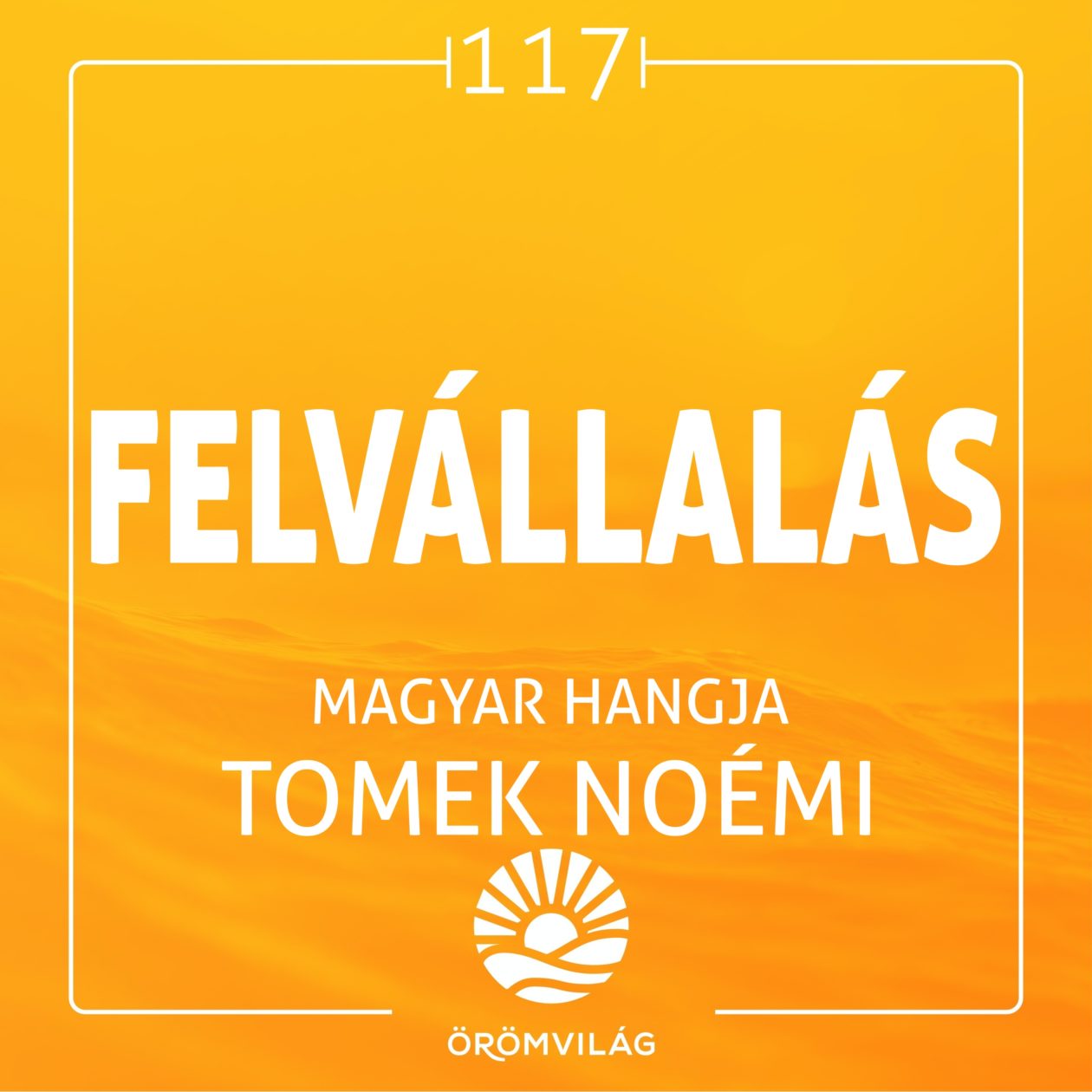 #117 Felvállalás