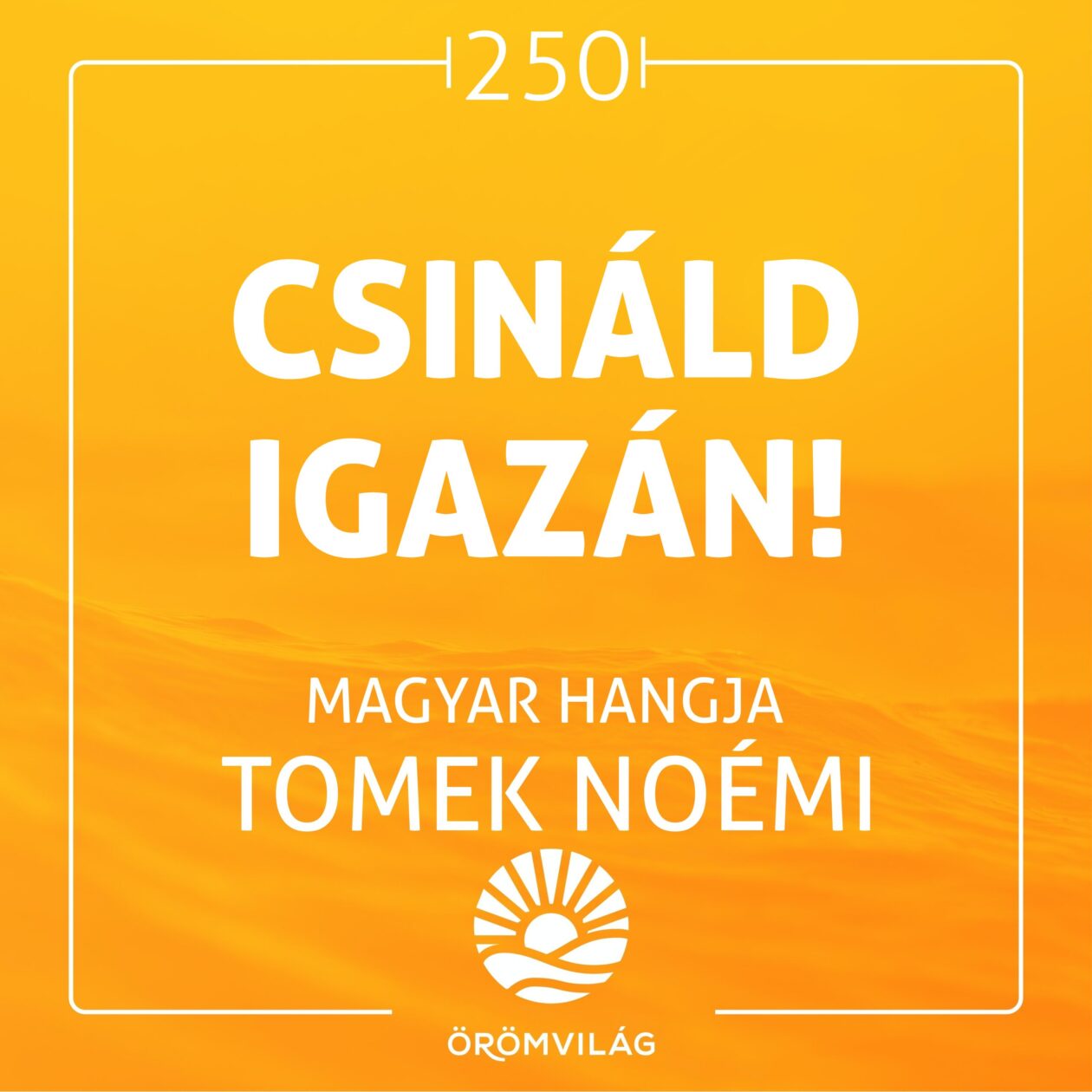 #250 Csináld igazán!