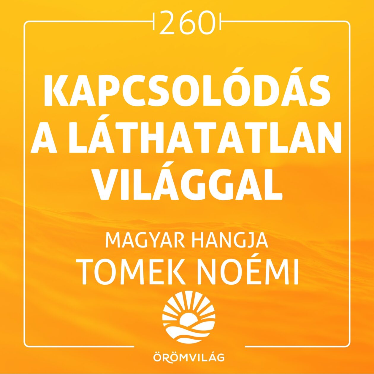 #260 Kapcsolódás a láthatatlan világgal